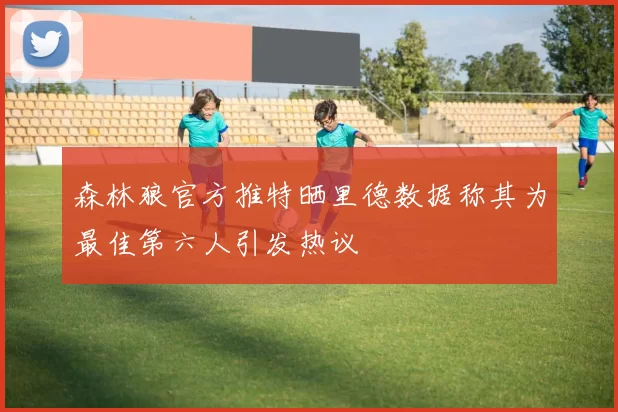 森林狼官方推特晒里德数据称其为最佳第六人引发热议